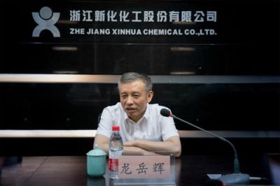 省税务局党委书记、副局长龙岳辉莅临公司调研